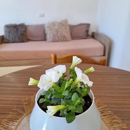 Hébergement de vacances La Casetta Di Nonna Rosa